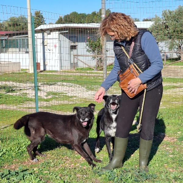 Crik&Crok Cerca Famiglia. Info Monica 3890238584 Foto 9